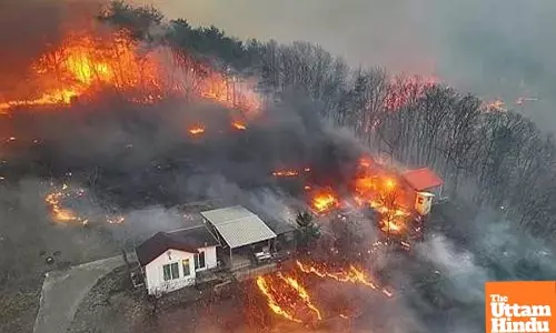 South Korean Police to summon suspect in worst-ever wildfires for questioning