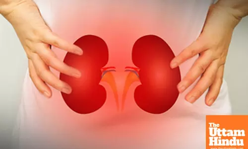 High BP can damage kidney functions even before symptoms appear: Study
