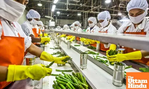 Food processing PLI: 171 firms approved, over 2.89 lakh jobs generated