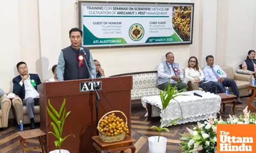 Illicit import of areca nuts from Myanmar, farmers in Mizoram facing severe challenges: CM