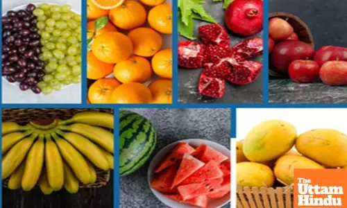 Centre exploring new markets to boost fruit exports after robust growth