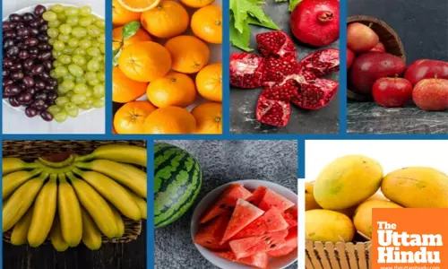 Centre exploring new markets to boost fruit exports after robust growth