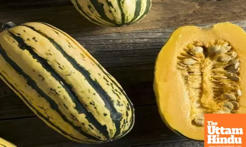 The Pumpkin-Like Kumhra Is a Health Powerhouse: Keeps Your Kidneys and Liver in Top Shape