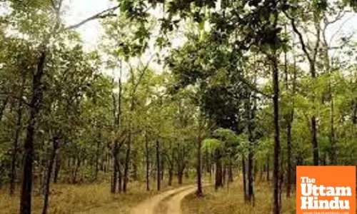 Maoist stronghold Chhattisgarh recorded 267 violent incidents in 2024: Data