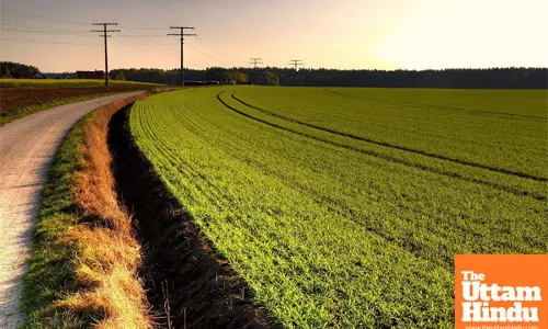 Weather in Haryana Takes a Sudden Turn: Cold Winds Bring a Drop in Temperature