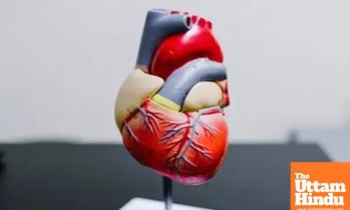 Study decodes who needs statin medication to lower cholesterol