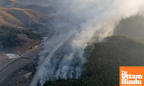 South Korea: Worst-ever wildfires contained in Gyeongsang provinces