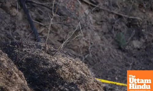 South Korea: Police book man suspected of starting worst-ever wildfires