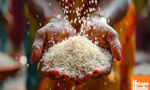 Telangana launches free fine rice distribution through PDS