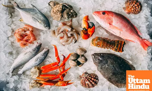 Lab-Grown Seafood Could Offer Hope for Allergy Sufferers