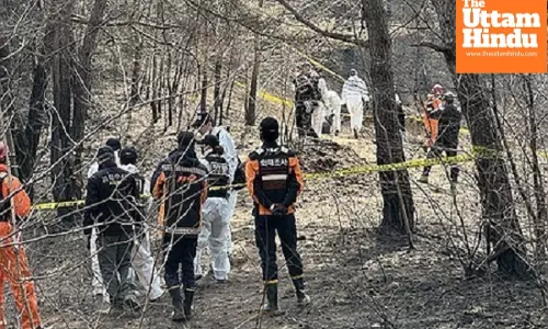 On-site probe begins into point of ignition for South Koreas Uiseong wildfires