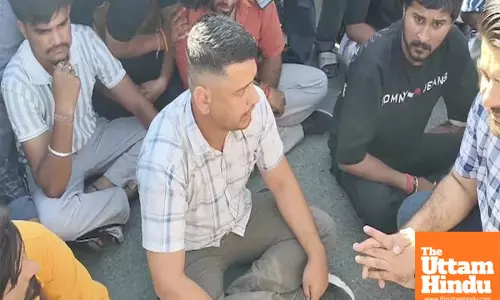 Chaos on Eid in Himachal Pradesh: Cow Remains Found, Uproar Erupts, Dehradun-Chandigarh Highway Blocked