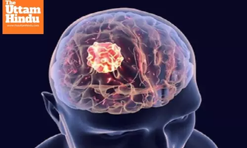 Israeli researchers develop AI tool to decode cell responses to drugs