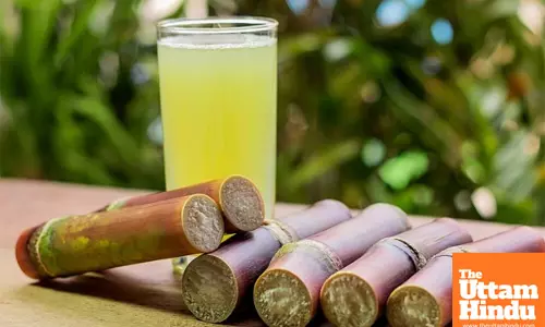 Sugarcane Juice: A Refreshing, Nutrient-Packed Drink with Benefits and Risks