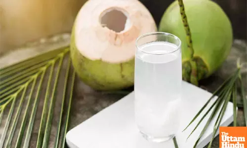 Stay Hydrated This Summer: Coconut Water and Lemon Infusion to Beat Dehydration