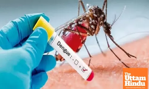 Bangladesh records 13 more dengue cases