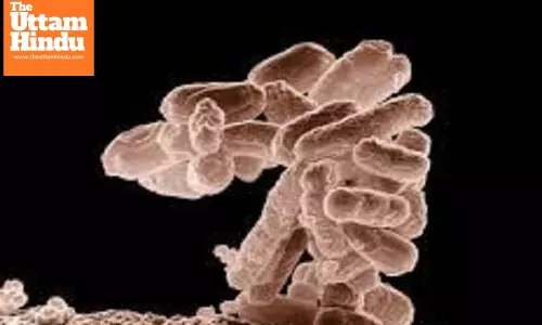E. coli outbreak leaves 53 sick in Latvia