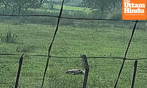 BSF Foils Infiltration Bid on Jammu International Border, Kills Intruder