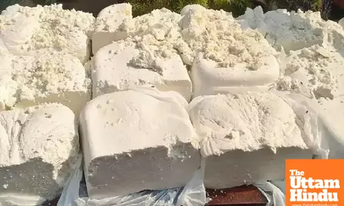 Fake Paneer Sold as Poison: Food Minister Urges Health Minister to Take Action, Directs States to Act