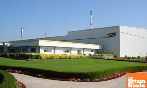 McCain India profit shrinks 29 pc in FY24 amid rising costs