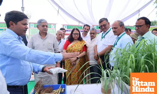 Use tech to meet green fodder deficit: Union Minister Rajiv Ranjan Singh