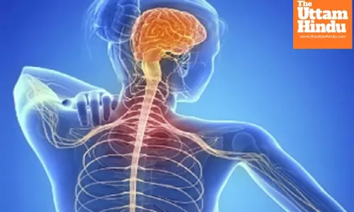 New AI tool to track efficacy of multiple sclerosis treatments