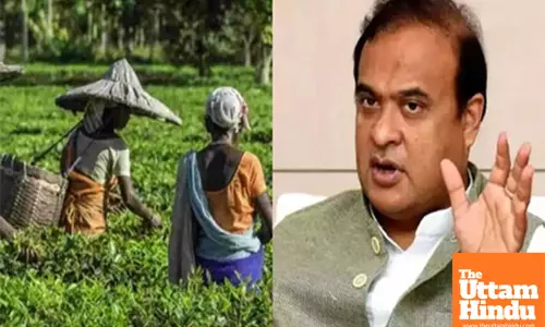 Assams Attabarie Tea Receives Global Recognition at Las Vegas Championship: CM Sarma