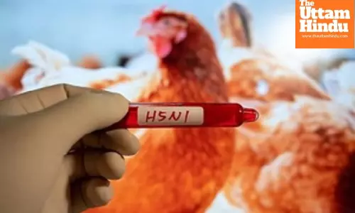 Mexico reports first human death from H5N1 bird flu