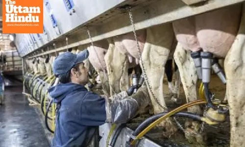 UK bans personal imports of meat, dairy products from all EU countries