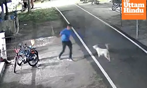 Shocking Animal Cruelty: FIR Filed Against Army Personnel, PETA Calls for Action