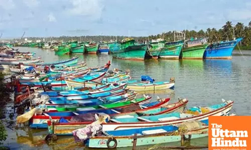 Breeding season: 61-day fishing ban in Tamil Nadu to start on April 15