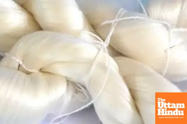 India’s raw silk production rises steadily, exports surge in last 6 years India’s raw silk production rises steadily, exports surge in last 6 years