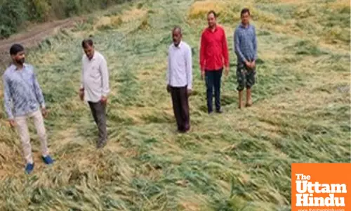 Weather turmoil set to sweep across MP, warning for farm community