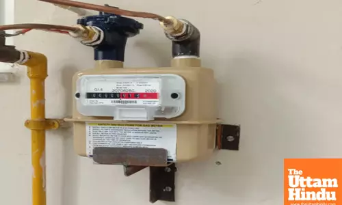 Centre tightens rules to protect consumers from faulty gas meters