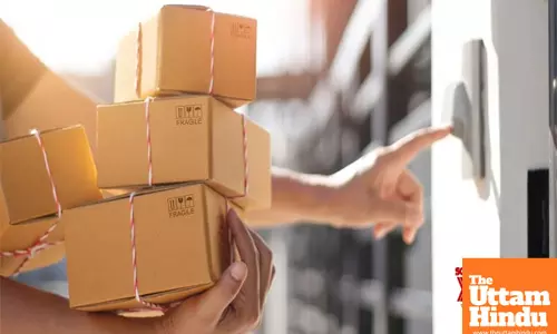 India ranked 2nd globally in direct-to-consumer sector funding in 2024: Report