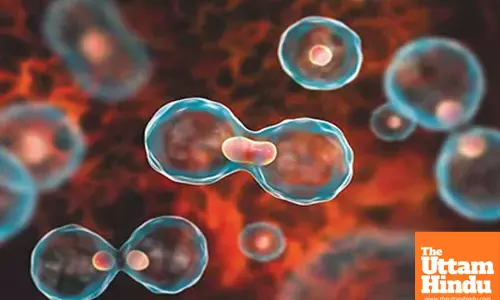 Gene-based blood test may help predict early signs of cancers return