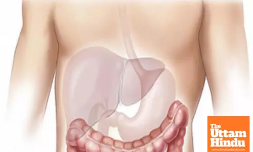 World Liver Day: Heal Your Liver with Every Bite, Experts Say Diet Can Slash Disease Risk by 50%