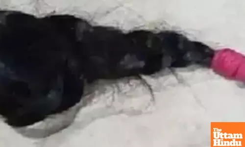 Domestic Violence in New Low: Husband Cuts Wifes Braid