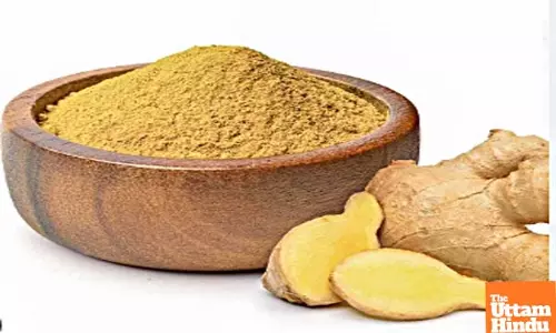 Prices of ginger, tomato, cauliflower saw steepest decline in March as inflation cools