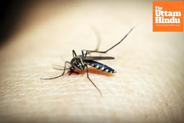 Cambodia on verge of achieving malaria-free goal: PM Hun Cambodia on verge of achieving malaria-free goal: PM Hun