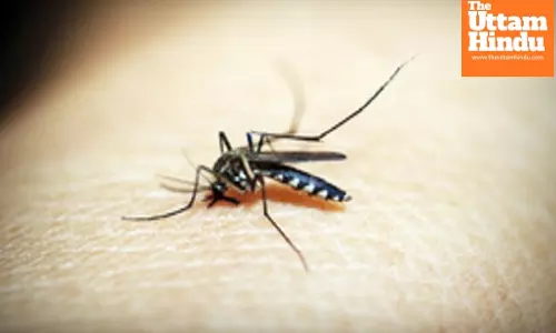 Cambodia on verge of achieving malaria-free goal: PM Hun