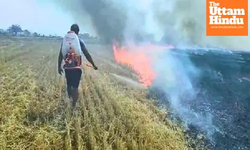 Stubble burning alarmingly high in MP; farmers to lose govt benefits, MSP