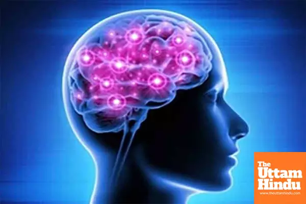 New skin-based test to boost diagnosis of debilitating neurodegenerative disease New skin-based test to boost diagnosis of debilitating neurodegenerative disease