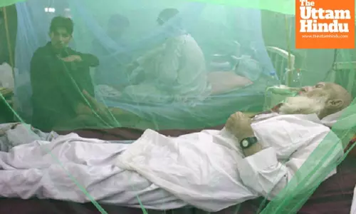 Patients in despair as doctors protest against govt in Pakistans Rawalpindi