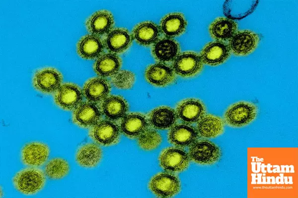 US launches next-generation universal vaccine platform for pandemic-prone viruses US launches next-generation universal vaccine platform for pandemic-prone viruses