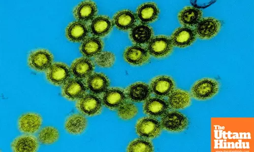 US launches next-generation universal vaccine platform for pandemic-prone viruses