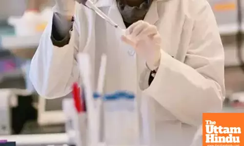 US: California moves to create its own science institute amid federal funding cuts