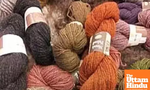 India’s cotton yarn industry poised for 9 pc growth in 2025-26: Report