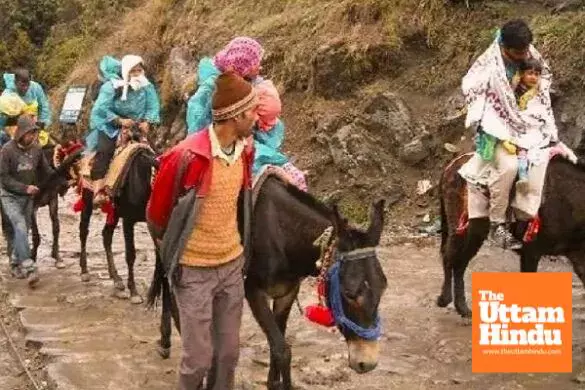 Devotee Alert: No Horse or Mule Operations Allowed in Kedarnath Yatra This Year Devotee Alert: No Horse or Mule Operations Allowed in Kedarnath Yatra This Year