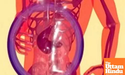 Fatty liver in pregnancy may increase risk of preterm birth